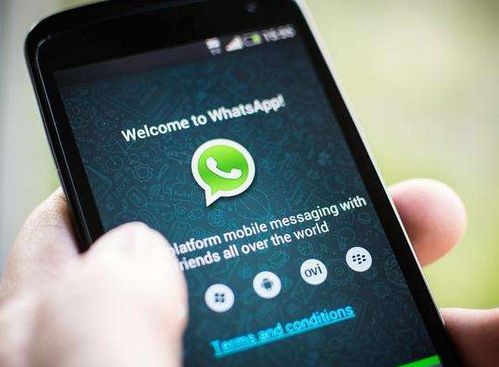 whatsapp视频聊天吗,跨越时空的亲密互动