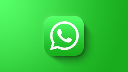 whatsapp强制更新没有账户,用户面临账户创建难题！