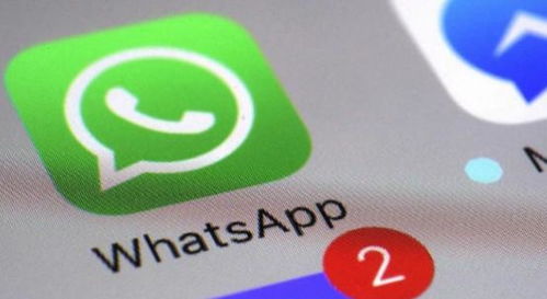 whatsapp无法看对方状态,WhatsApp隐身状态下的神秘对话世界
