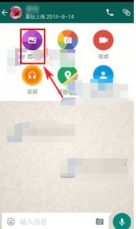 whatsapp收发图片很慢,WhatsApp图片传输慢速解决方案探析