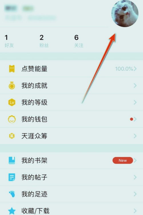 whatsapp两个账号切换,WhatsApp双账号管理攻略