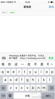 whatsapp大量加好友,高效拓展人脉的秘诀
